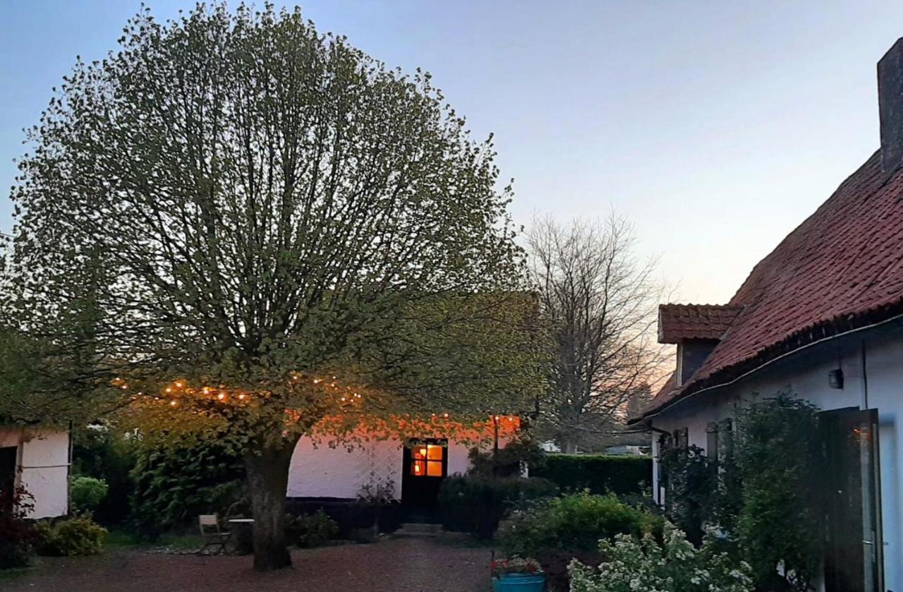 Le Collet Vert Wamin Exteriér fotografie